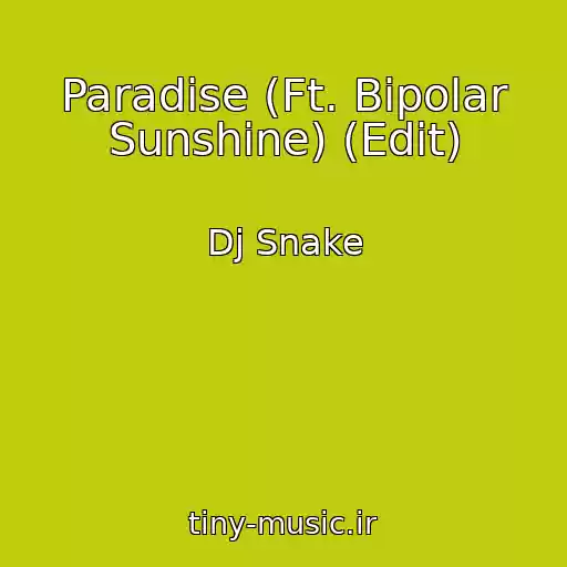 کاور آهنگ Paradise (Ft. Bipolar Sunshine) (Edit) از Dj Snake
