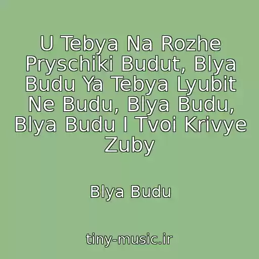 کاور آهنگ U Tebya Na Rozhe Pryschiki Budut, Blya Budu Ya Tebya Lyubit Ne Budu, Blya Budu, Blya Budu I Tvoi Krivye Zuby از Blya Budu
