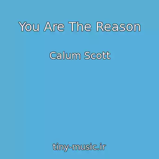 کاور آهنگ You Are The Reason از Calum Scott