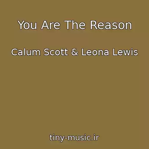 کاور آهنگ You Are The Reason از Calum Scott & Leona Lewis