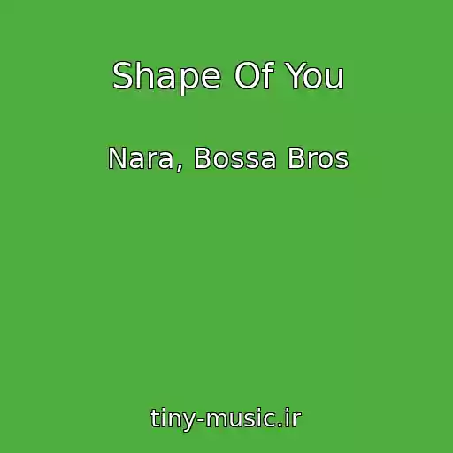 کاور آهنگ Shape Of You از Nara, Bossa Bros