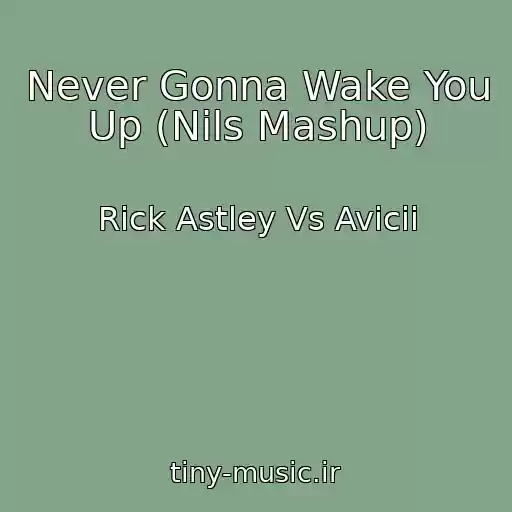 کاور آهنگ Never Gonna Wake You Up (Nils Mashup) از Rick Astley Vs Avicii