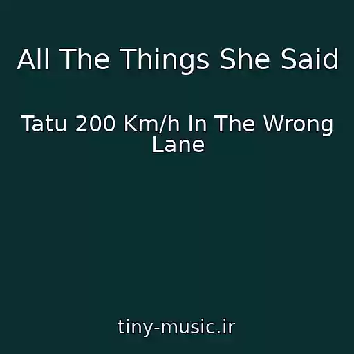 کاور آهنگ All The Things She Said از Tatu 200 Km/h In The Wrong Lane