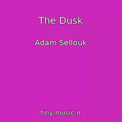 کاور آهنگ The Dusk از Adam Sellouk