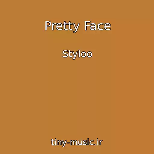 کاور آهنگ Pretty Face از Styloo