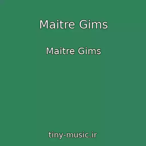 کاور آهنگ Maitre Gims از Maitre Gims