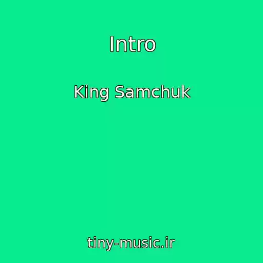 کاور آهنگ Intro از King Samchuk