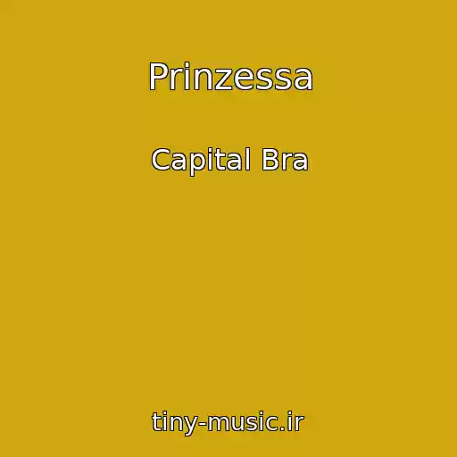 کاور آهنگ Prinzessa از Capital Bra