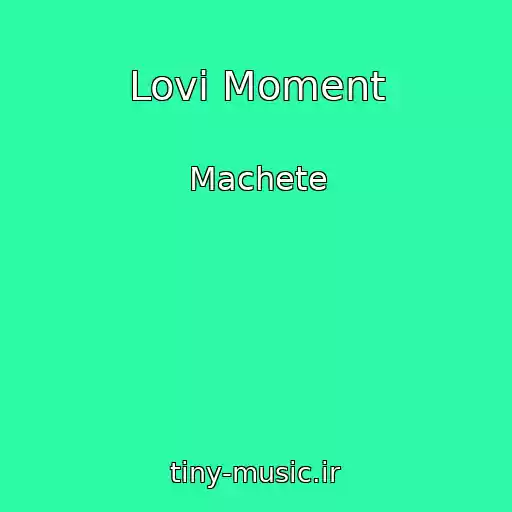 کاور آهنگ Lovi Moment از Machete