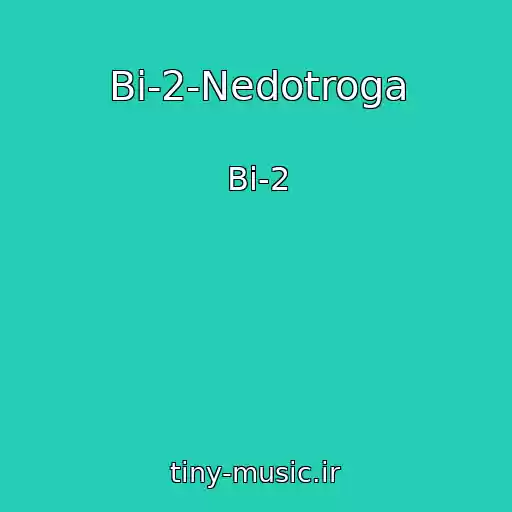 کاور آهنگ Bi-2-Nedotroga از Bi-2