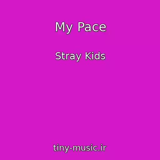 کاور آهنگ My Pace از Stray Kids