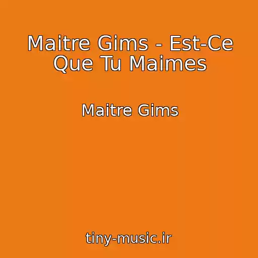 کاور آهنگ Maitre Gims - Est-Ce Que Tu Maimes از Maitre Gims