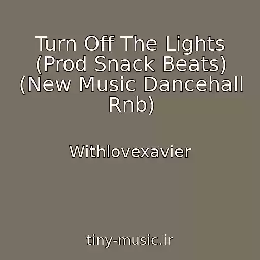 کاور آهنگ Turn Off The Lights (Prod Snack Beats) (New Music Dancehall Rnb) از Withlovexavier