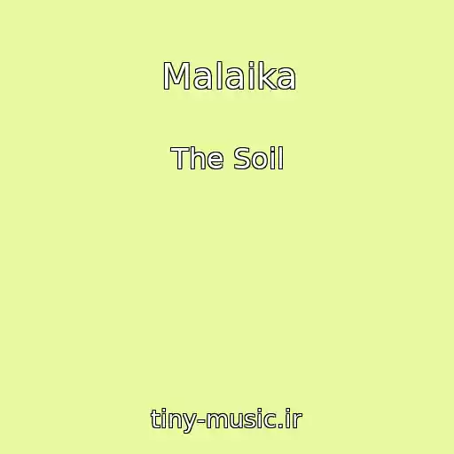 کاور آهنگ Malaika از The Soil