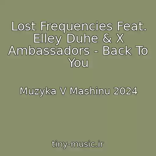 کاور آهنگ Lost Frequencies Feat. Elley Duhe & X Ambassadors - Back To You از Muzyka V Mashinu 2024