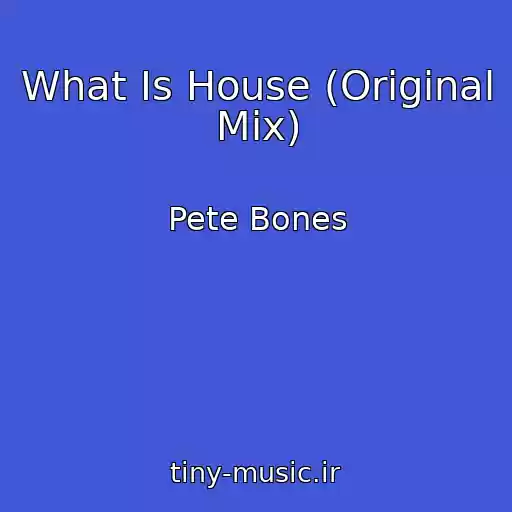 کاور آهنگ What Is House (Original Mix) از Pete Bones