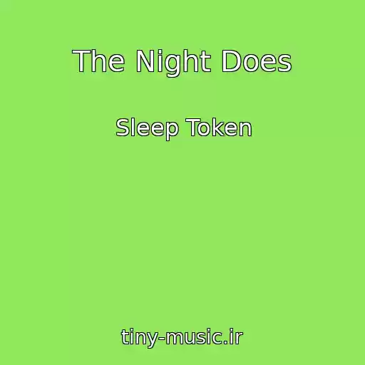کاور آهنگ The Night Does از Sleep Token
