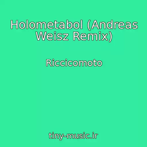 کاور آهنگ Holometabol (Andreas Weisz Remix) از Riccicomoto