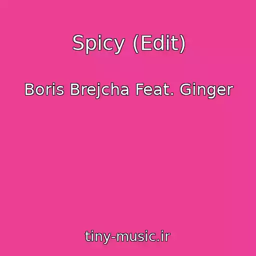 کاور آهنگ Spicy (Edit) از Boris Brejcha Feat. Ginger