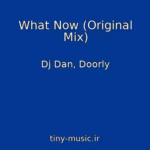کاور آهنگ What Now (Original Mix) از Dj Dan, Doorly