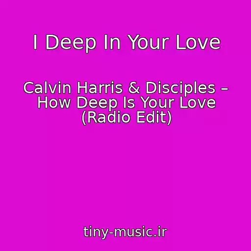 کاور آهنگ I Deep In Your Love از Calvin Harris & Disciples – How Deep Is Your Love (Radio Edit)