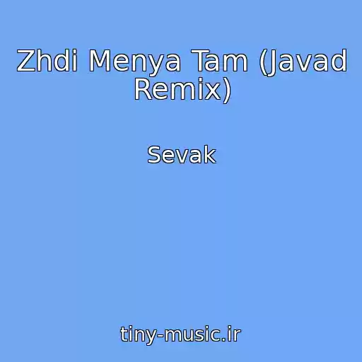 کاور آهنگ Zhdi Menya Tam (Javad Remix) از Sevak
