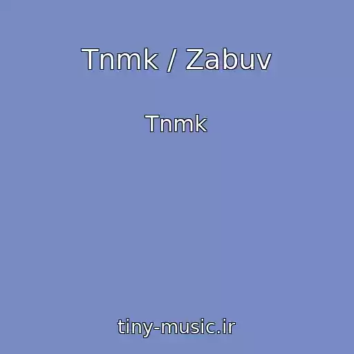کاور آهنگ Tnmk / Zabuv از Tnmk