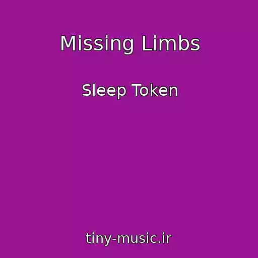 کاور آهنگ Missing Limbs از Sleep Token
