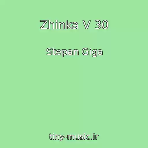 کاور آهنگ Zhіnka V 30 از Stepan Gіga