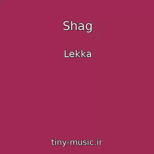 کاور آهنگ Shag از Lekka