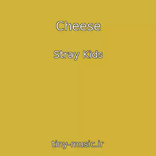 کاور آهنگ Cheese از Stray Kids