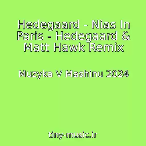 کاور آهنگ Hedegaard - Nias In Paris - Hedegaard & Matt Hawk Remix از Muzyka V Mashinu 2024