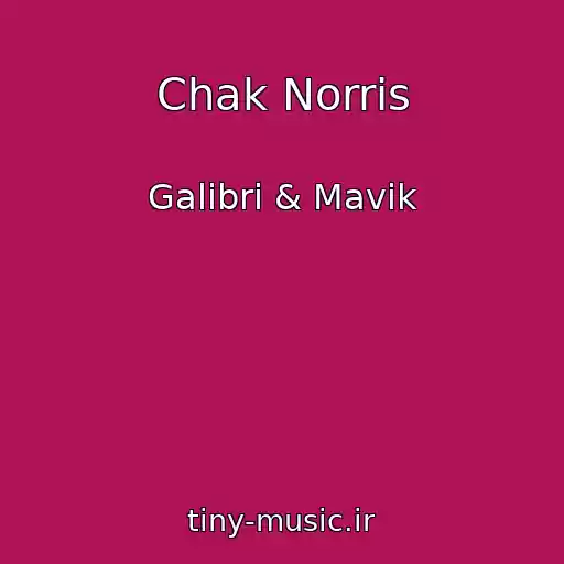 کاور آهنگ Chak Norris از Galibri & Mavik