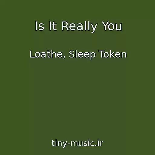 کاور آهنگ Is It Really You از Loathe, Sleep Token