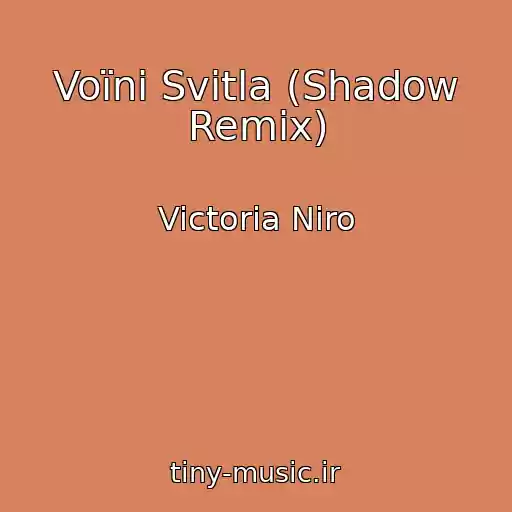 کاور آهنگ Voїni Svіtla (Shadow Remix) از Victoria Niro