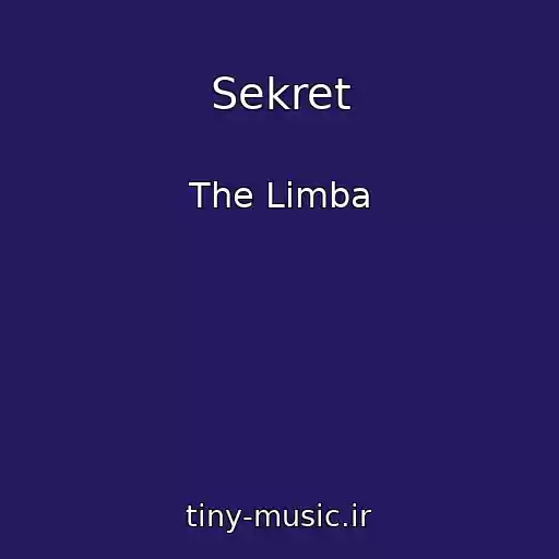 کاور آهنگ Sekret از The Limba