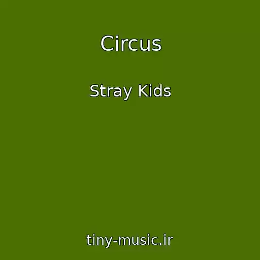 کاور آهنگ Circus از Stray Kids