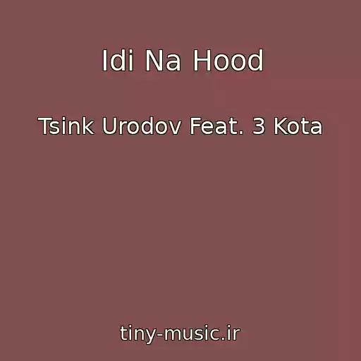 کاور آهنگ Idi Na Hood از Tsink Urodov Feat. 3 Kota