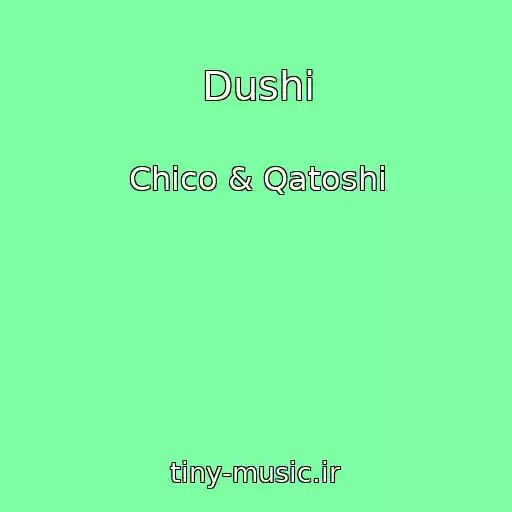 کاور آهنگ Dushі از Chico & Qatoshi