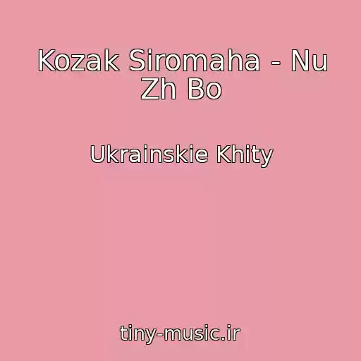 کاور آهنگ Kozak Siromaha - Nu Zh Bo از Ukrainskie Khity