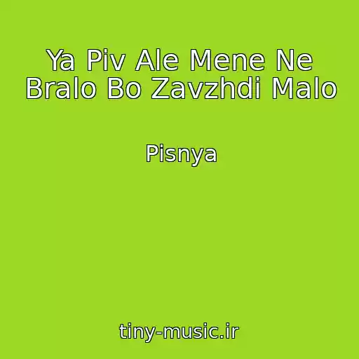 کاور آهنگ Ya Piv Ale Mene Ne Bralo Bo Zavzhdi Malo از Pіsnya