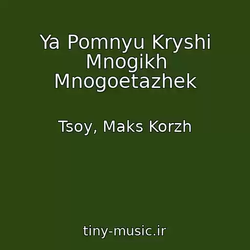 کاور آهنگ Ya Pomnyu Kryshi Mnogikh Mnogoetazhek از Tsoy, Maks Korzh