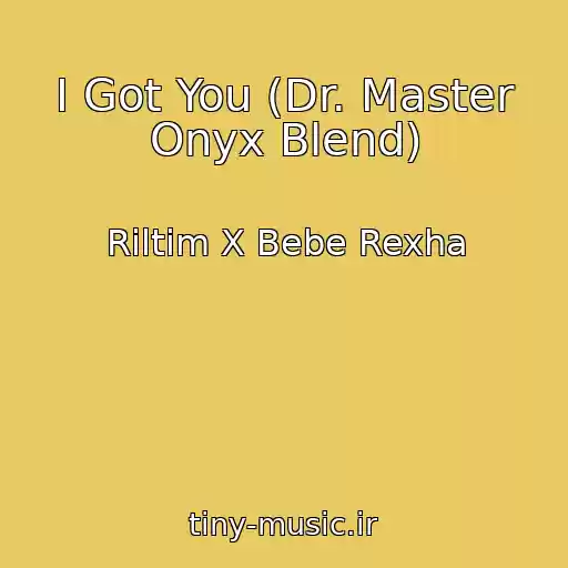 کاور آهنگ I Got You (Dr. Master Onyx Blend) از Riltim X Bebe Rexha