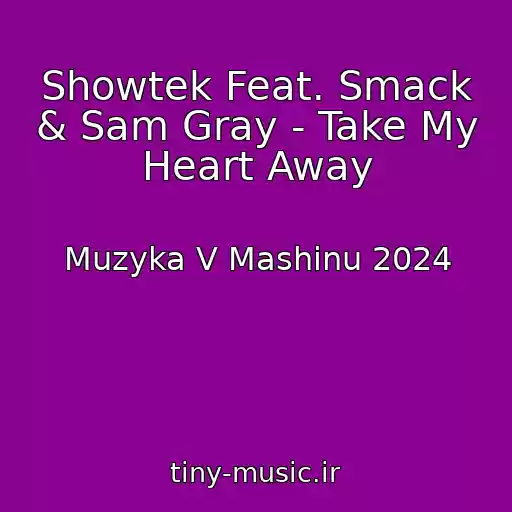 کاور آهنگ Showtek Feat. Smack & Sam Gray - Take My Heart Away از Muzyka V Mashinu 2024