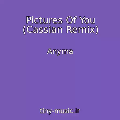 کاور آهنگ Pictures Of You (Cassian Remix) از Anyma