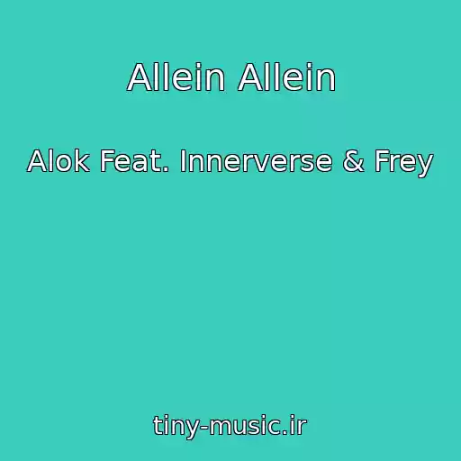 کاور آهنگ Allein Allein از Alok Feat. Innerverse & Frey