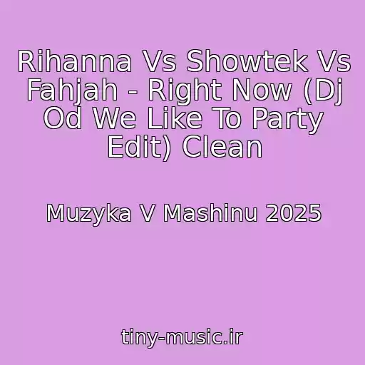 کاور آهنگ Rihanna Vs Showtek Vs Fahjah - Right Now (Dj Od We Like To Party Edit) Clean از Muzyka V Mashinu 2025