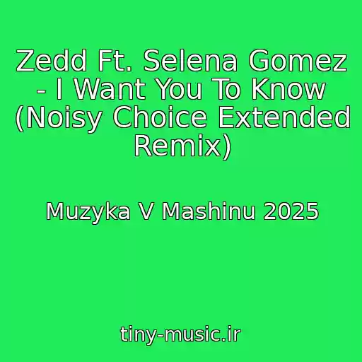 کاور آهنگ Zedd Ft. Selena Gomez - I Want You To Know (Noisy Choice Extended Remix) از Muzyka V Mashinu 2025