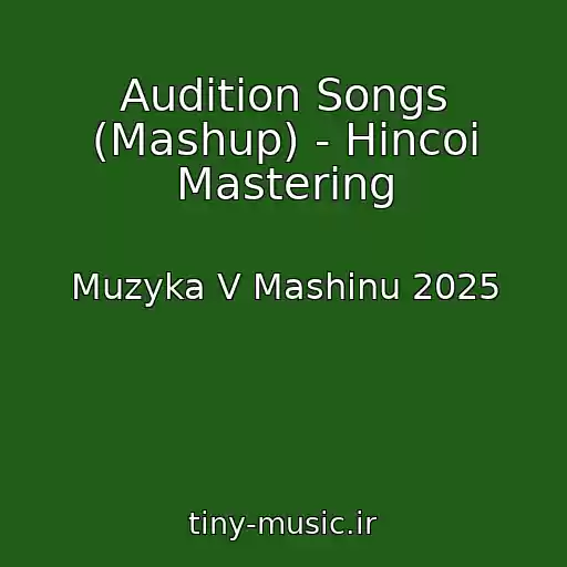 کاور آهنگ Audition Songs (Mashup) - Hincoi Mastering از Muzyka V Mashinu 2025