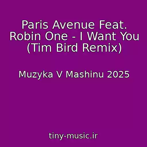 کاور آهنگ Paris Avenue Feat. Robin One - I Want You (Tim Bird Remix) از Muzyka V Mashinu 2025